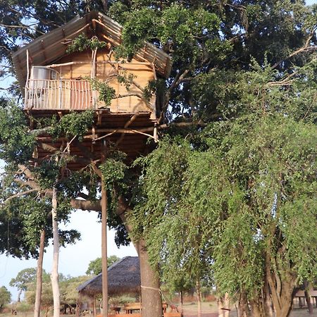 ホテル Yala Dream Park エクステリア 写真
