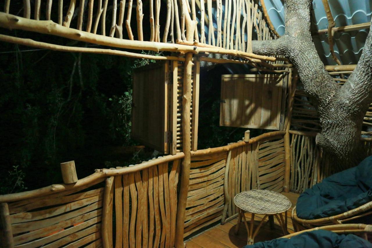 ホテル Yala Dream Park エクステリア 写真